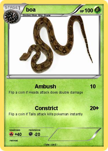 Pokemon boa