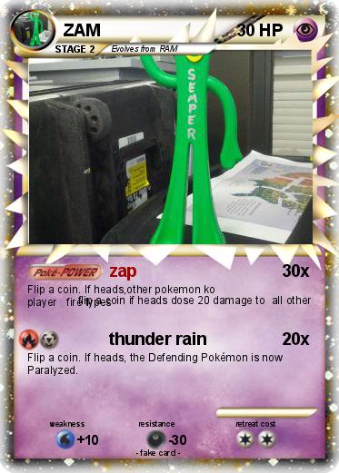 Pokemon ZAM