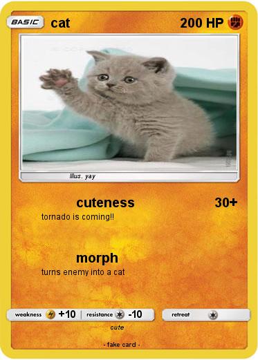 Pokemon cat