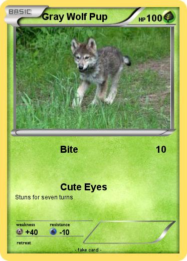 Pokemon Gray Wolf Pup