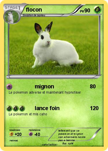 Pokemon flocon