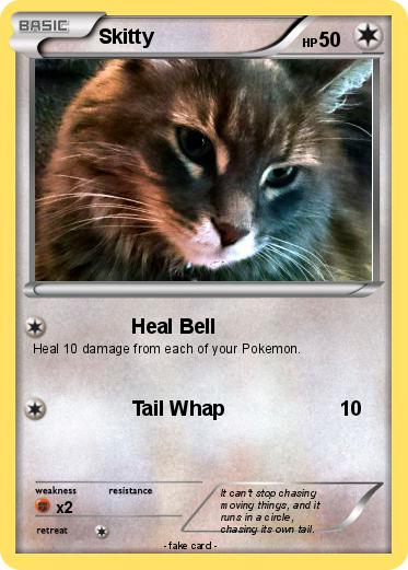 Pokemon Skitty