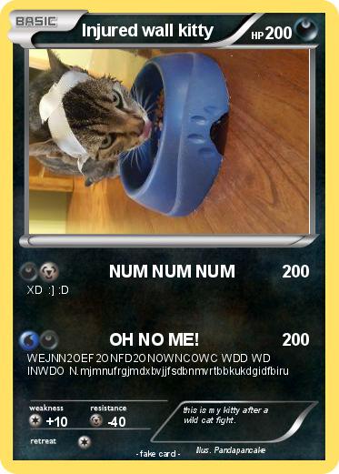 Pokemon Injured wall kitty