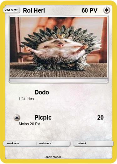 Pokemon Roi Heri