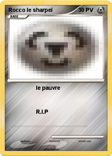 Pokemon Rocco le sharpeï