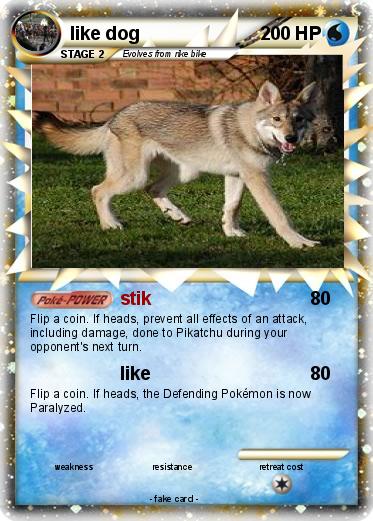 Pokemon like dog