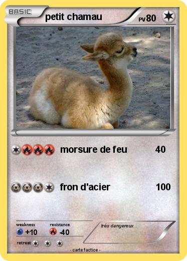 Pokemon petit chamau