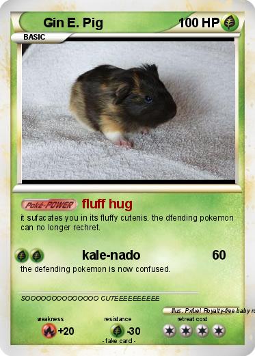 Pokemon Gin E. Pig