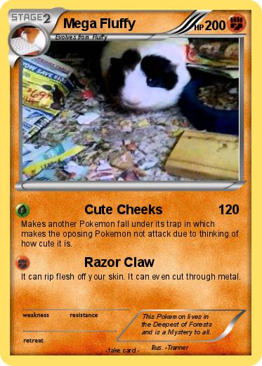 Pokemon Mega Fluffy