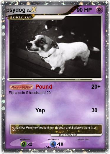 Pokemon psydog