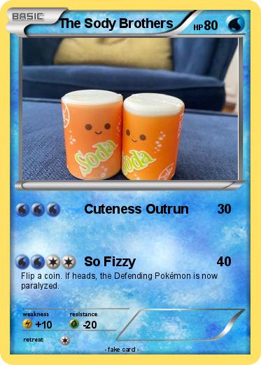 Pokemon The Sody Brothers