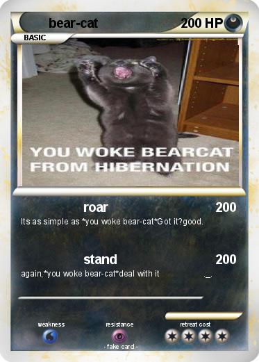 Pokemon bear-cat