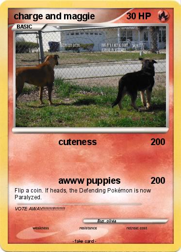 Pokemon charge and maggie