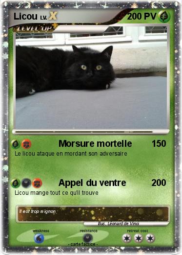 Pokemon Licou