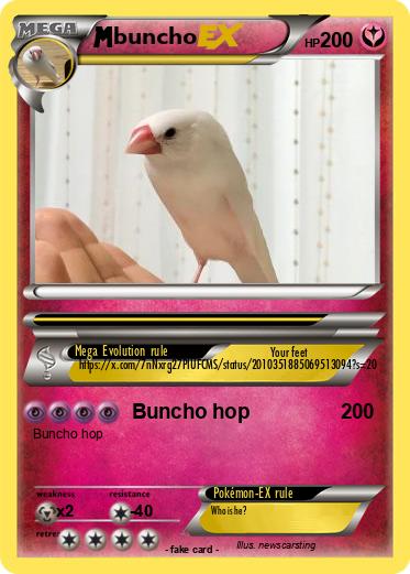 Pokemon buncho