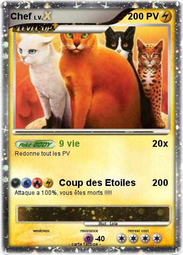 Pokemon Chef