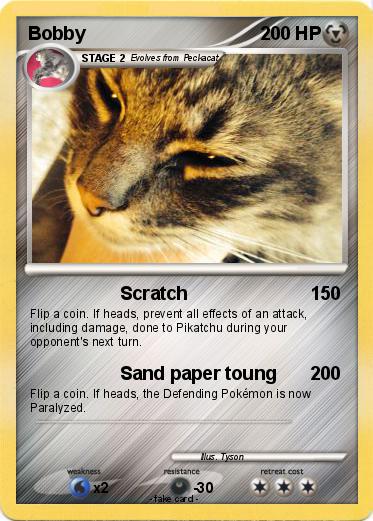 Pokemon Bobby