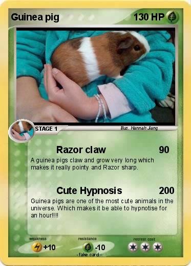 Pokemon Guinea pig