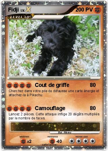 Pokemon Fidji