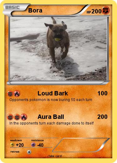 Pokemon Bora
