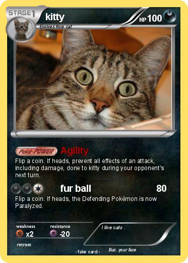 Pokemon kitty