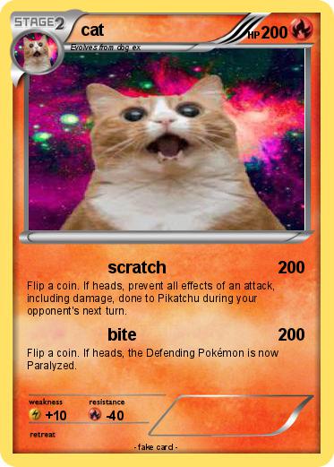 Pokemon cat