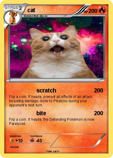 Pokemon cat