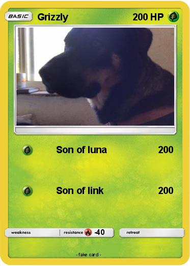 Pokemon Grizzly