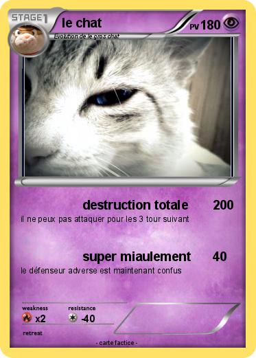 Pokemon le chat
