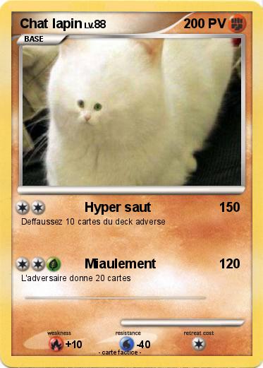 Pokemon Chat lapin