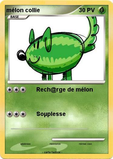 Pokemon mélon collie