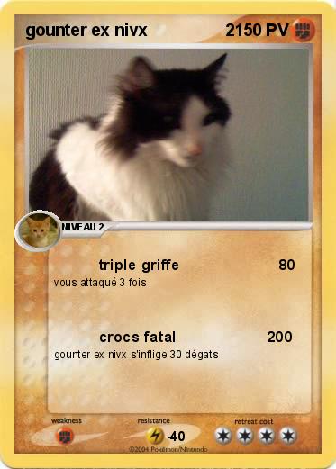 Pokemon gounter ex nivx                 2