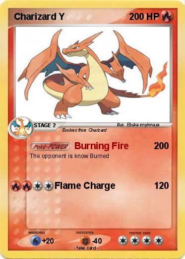 Pokemon Charizard Y