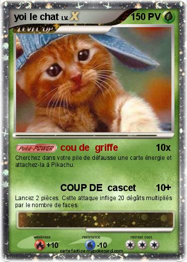 Pokemon yoi le chat