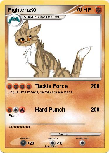 Pokemon Fighter