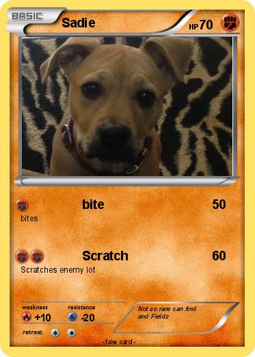 Pokemon Sadie