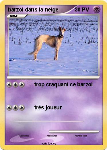 Pokemon barzoi dans la neige