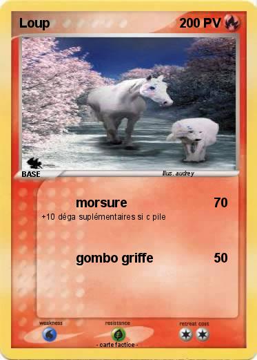 Pokemon Loup