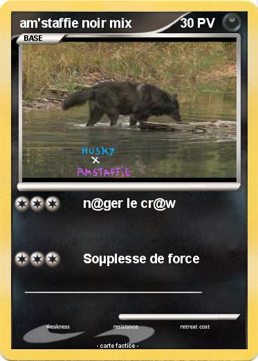 Pokemon am'staffie noir mix