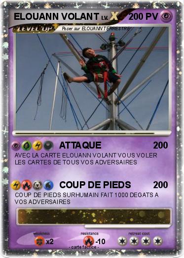 Pokemon ELOUANN VOLANT