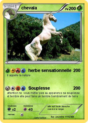 Pokemon chevala