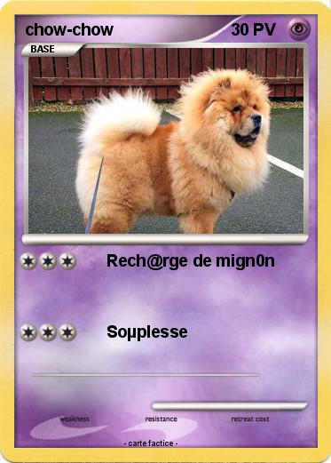 Pokemon chow-chow