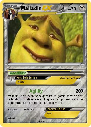 Pokemon alladin