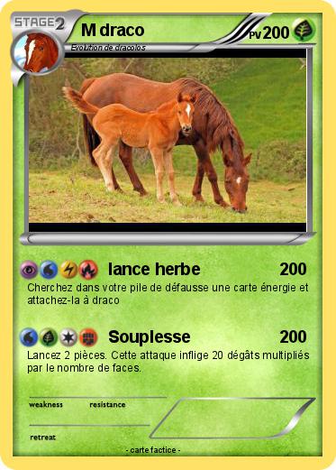 Pokemon M draco