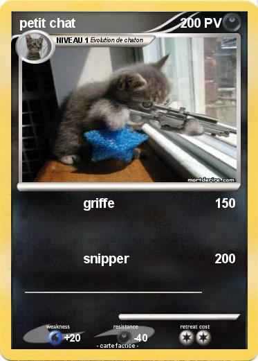 Pokemon petit chat