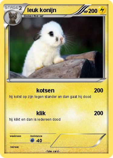 Pokemon leuk konijn