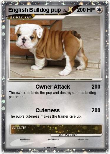 Pokemon English Bulldog pup