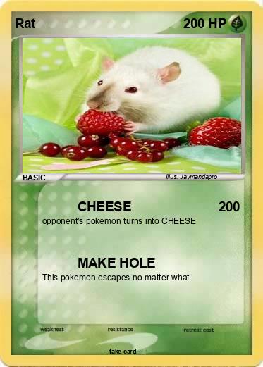 Pokemon Rat