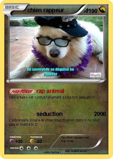 Pokemon chien rappeur              +
