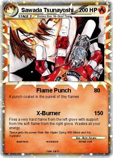 Pokemon Sawada Tsunayoshi